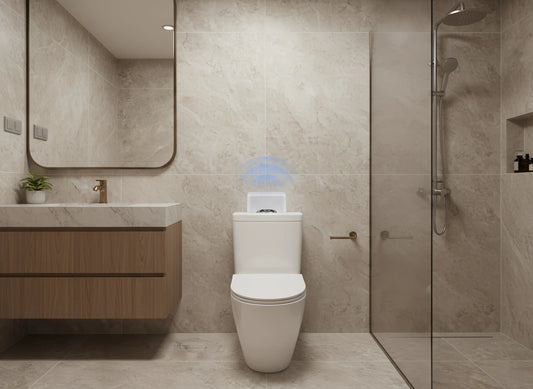 Why Do Automatic Toilets Flush Randomly?